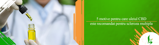 5 motive pentru care uleiul CBD este recomandat pentru pacientii cu scleroza multipla