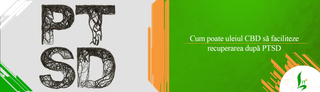 Cum poate uleiul CBD să faciliteze recuperarea după PTSD