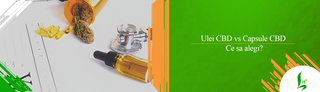 Ulei CBD vs Capsule CBD – ce sa alegi?