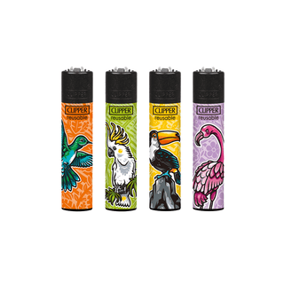 Bricheta 'CLIPPER' Paradiesvogel